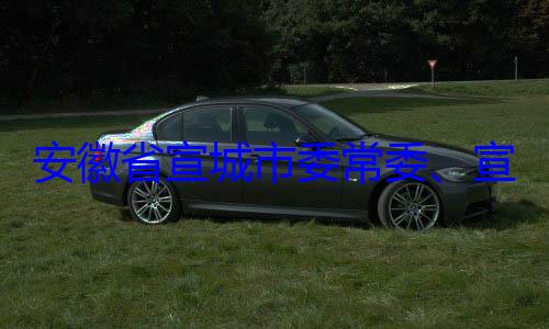 宣传部部长郭金友接受安徽省宣城市委常委审查调查