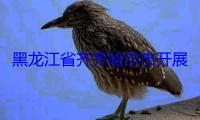 黑龙江省齐齐哈尔市开展食品安全“你点我检 服务惠民生”活动